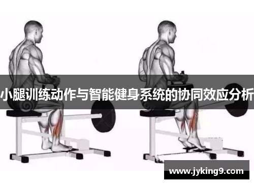 小腿训练动作与智能健身系统的协同效应分析